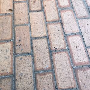 Meet your Posher, Charles